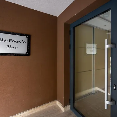 Mount Rankovic Zlatibor