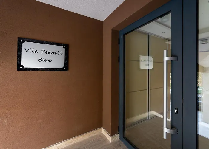 Mount Rankovic Zlatibor